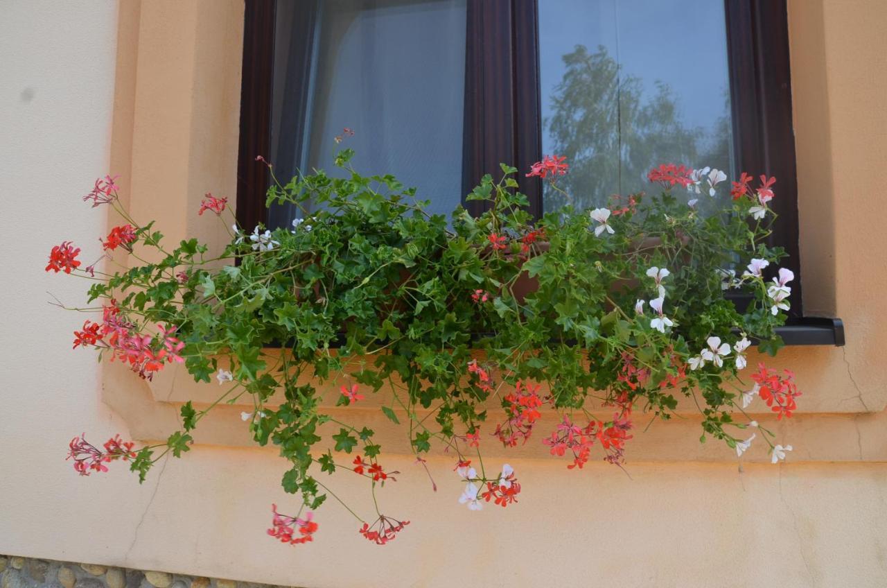 Garden Vendeghaz Mako Bed & Breakfast Dış mekan fotoğraf